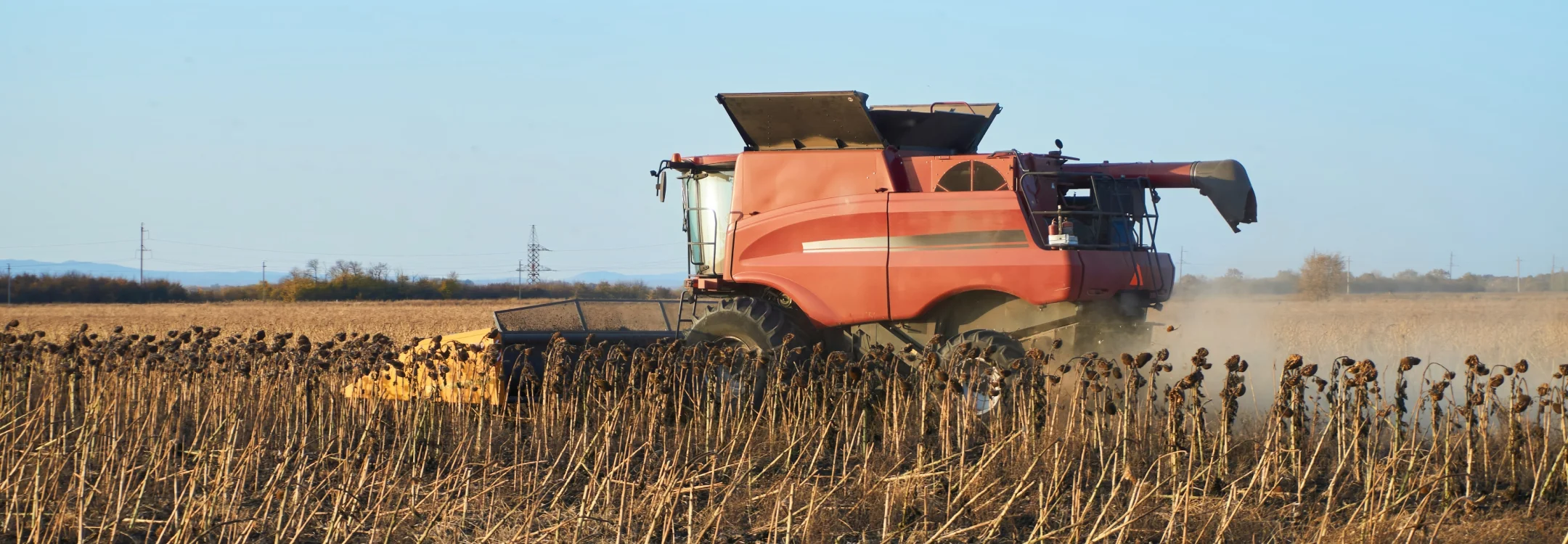 Farming